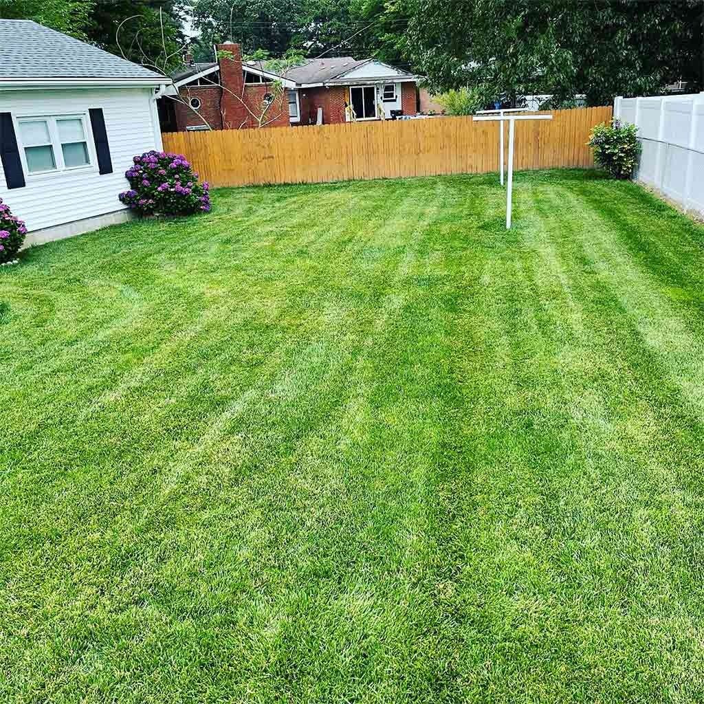 A green, mowed lawn with a white clothesline in a backyard bordered by fences and houses.
