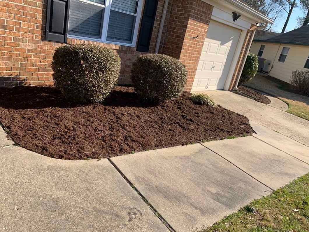 Front yard with brick house, two bushes in dark mulch, concrete walkway, and garage.