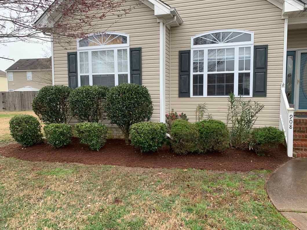 Tan house with black shutters, windows, and manicured green bushes in fresh mulch.