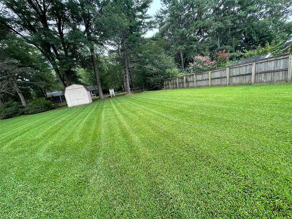Lush green lawn with freshly mowed stripes, shed, and wooden fence. Trees line the perimeter on an overcast day.