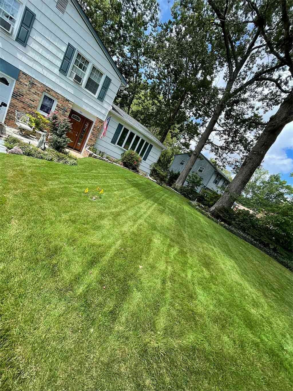 Green lawn slopes up to a white house with green shutters and a brown door.