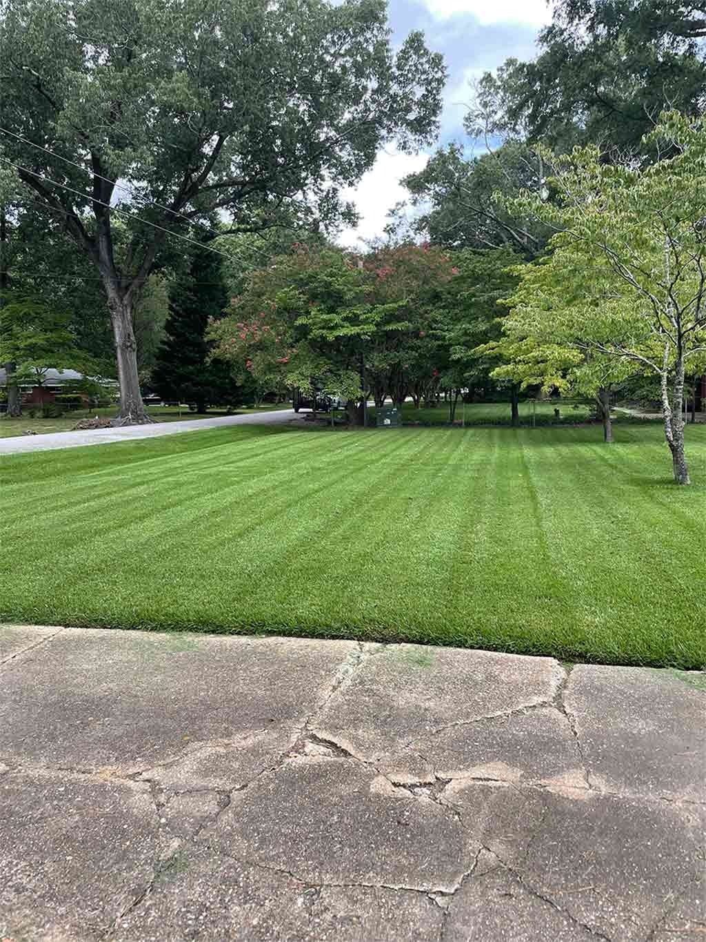 Green lawn with neat stripes, trees in the background, gray concrete foreground, partly cloudy sky.
