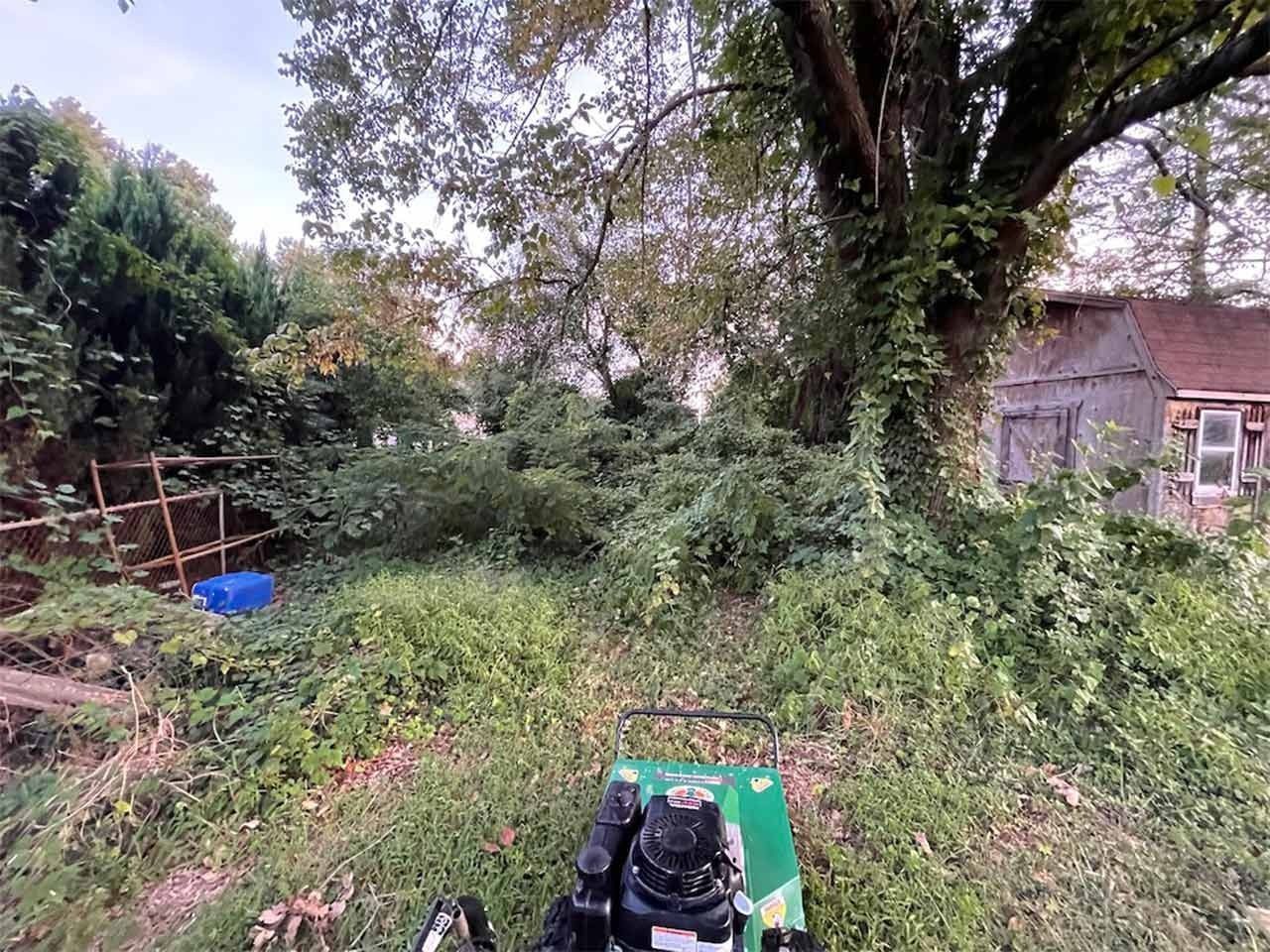 Overgrown yard with a lawnmower, trees, and a building on the right.
