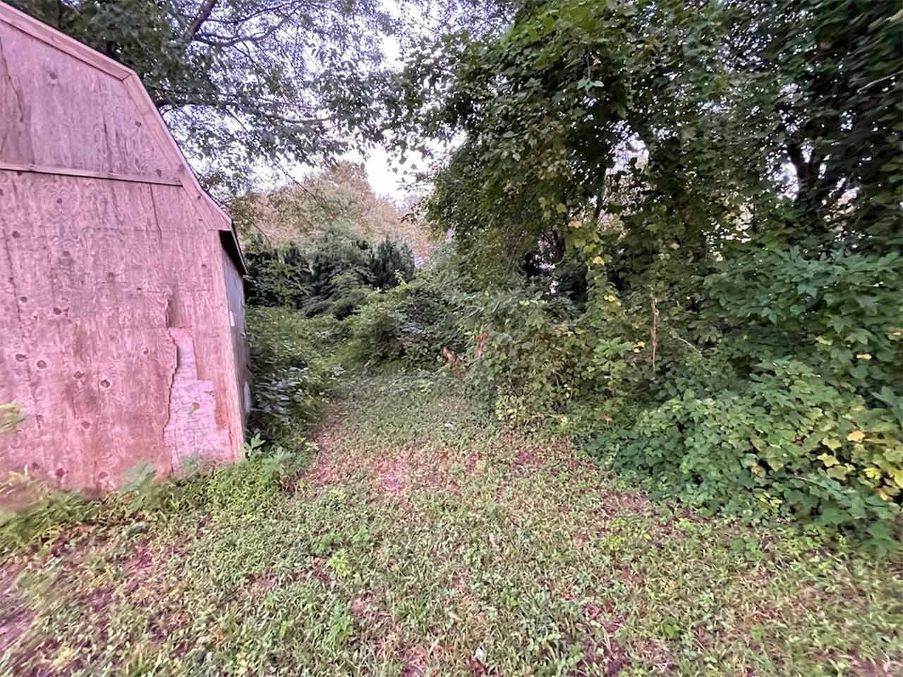 Overgrown yard with shed. Green grass and foliage surround a weathered, pink-toned wooden structure.