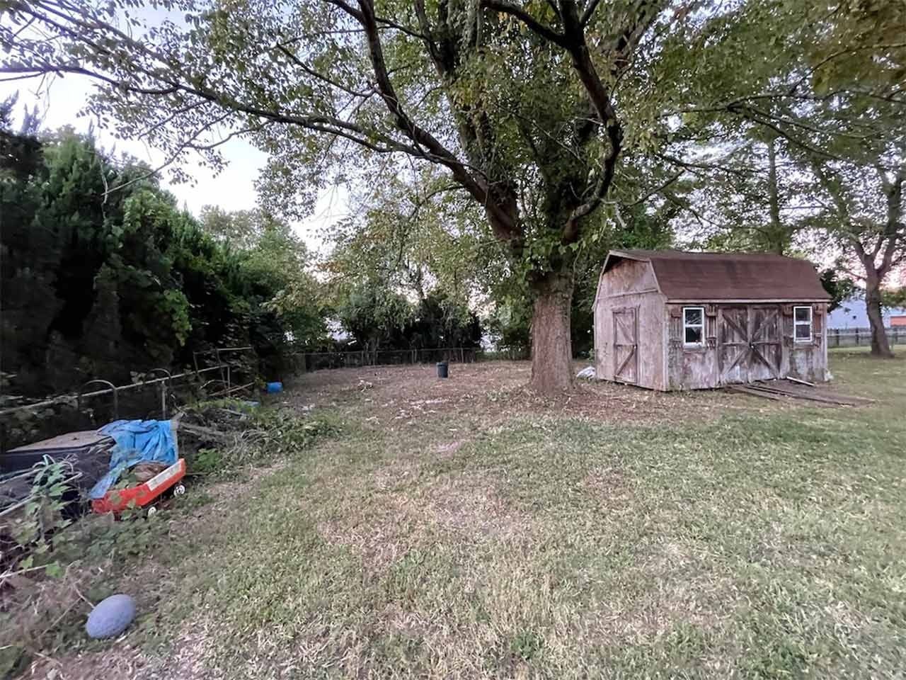 Backyard with a weathered shed under a tree, overgrown grass, and a fence.