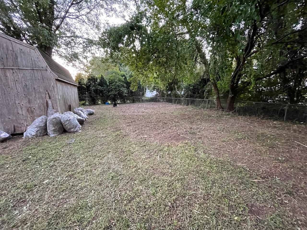A yard covered in grass clippings and bags, with trees and a shed on the edges.