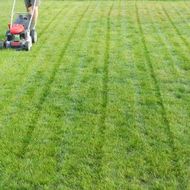 Person mowing a green lawn with a red lawnmower, creating striped pattern.