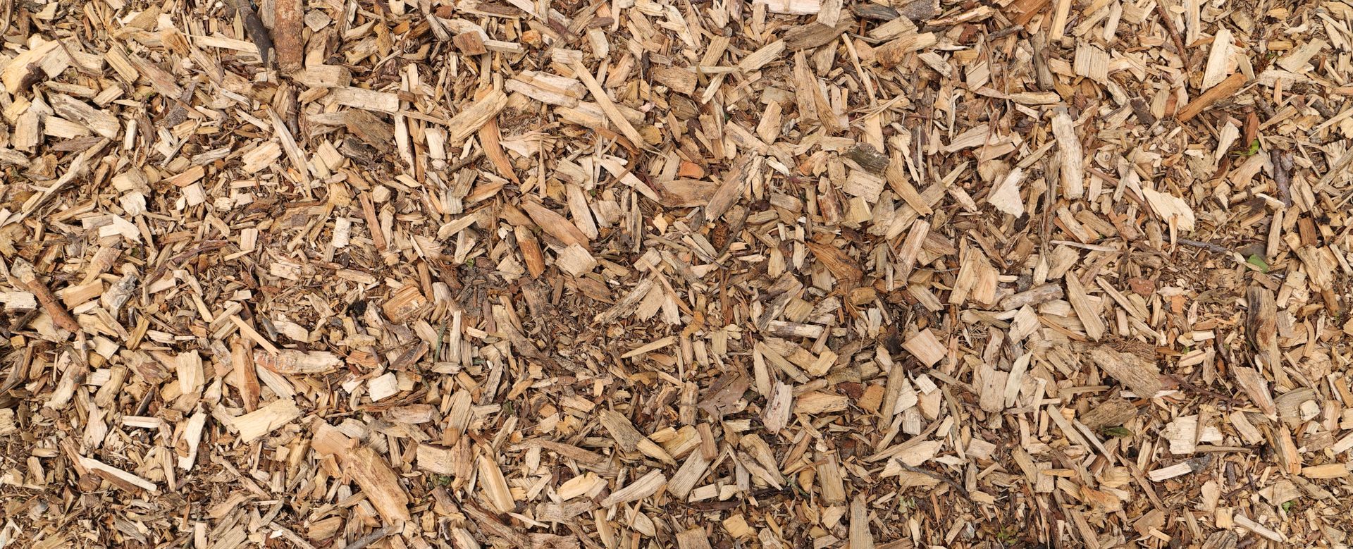 Close-up of a pile of wood chips.