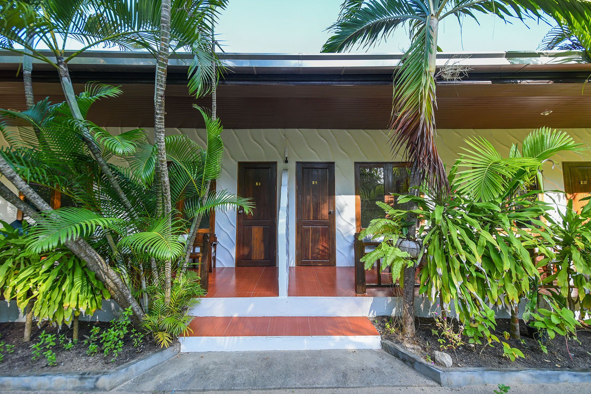 Exterior of a building with two brown doors, flanked by tropical foliage and palm trees; concrete walkway.