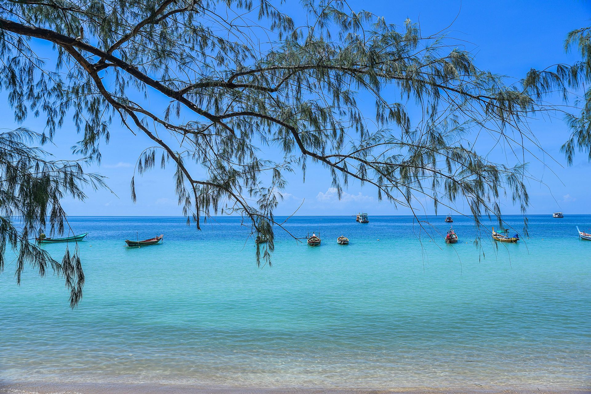 Beach scene with clear turquoise water, boats, and tree branches in the foreground against a blue sky.
