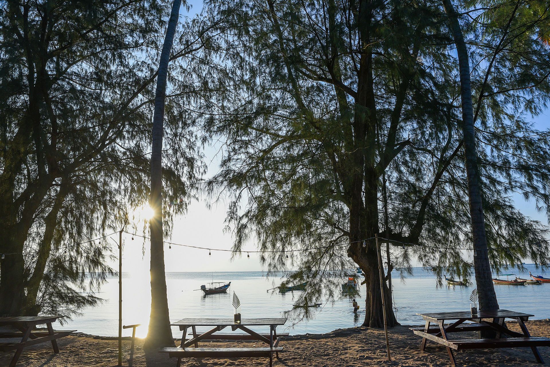 Beach scene with trees, sunlight, picnic tables, and boats on the water.