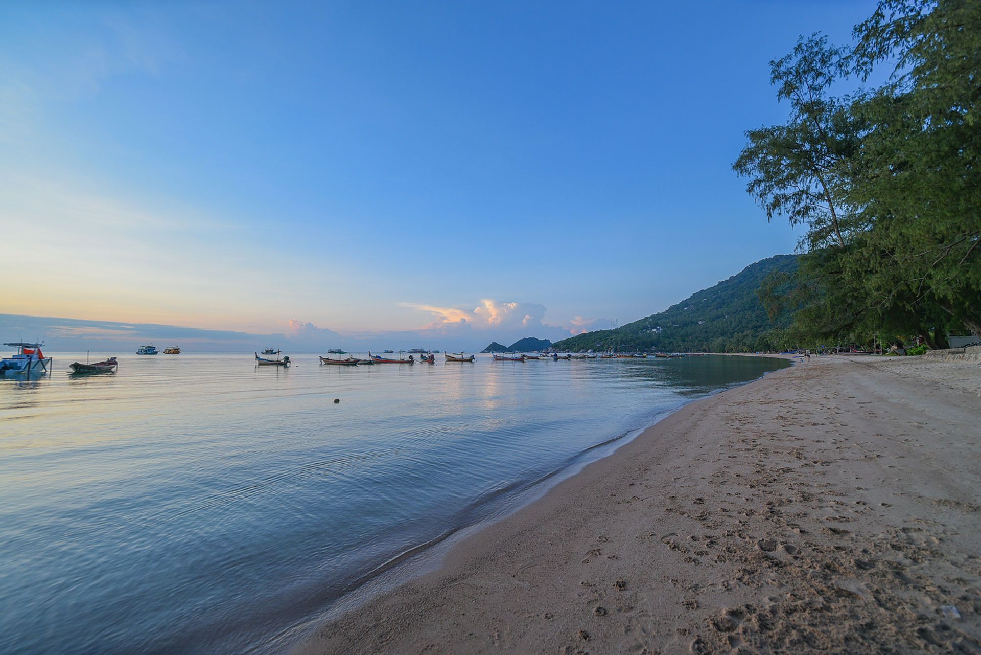Beach scene with boats on calm water under a blue sky. Sandy shore with tree.