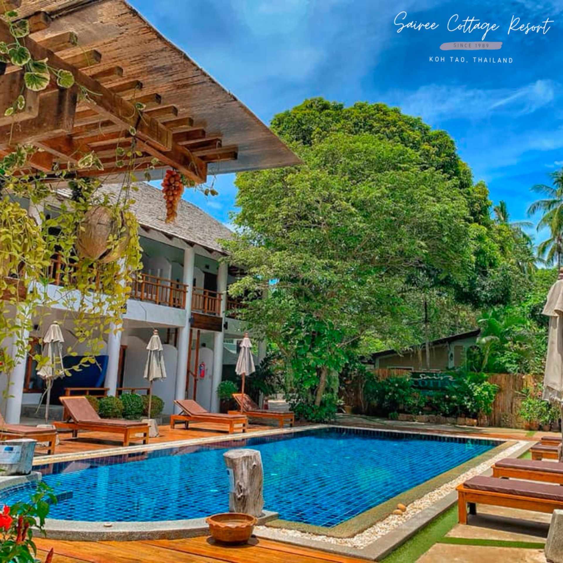 Swimming pool at a resort with lounge chairs, blue sky, and lush greenery in Koh Tao, Thailand.