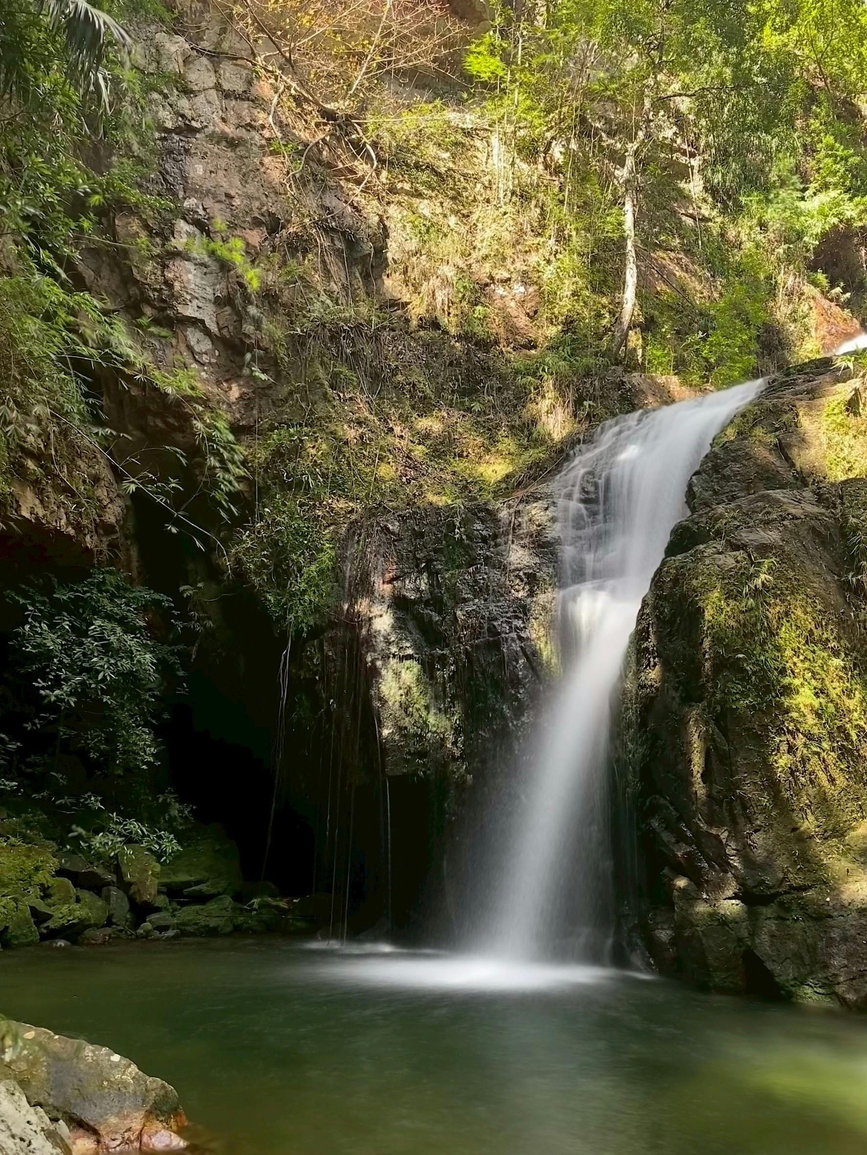 Waterfall cascading into a green pool surrounded by mossy rocks and lush greenery.