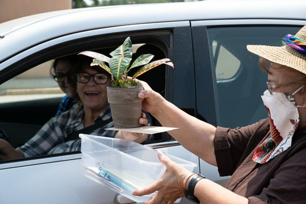 A woman in a mask and hat hands a plant in a pot to two smiling people in a car. 