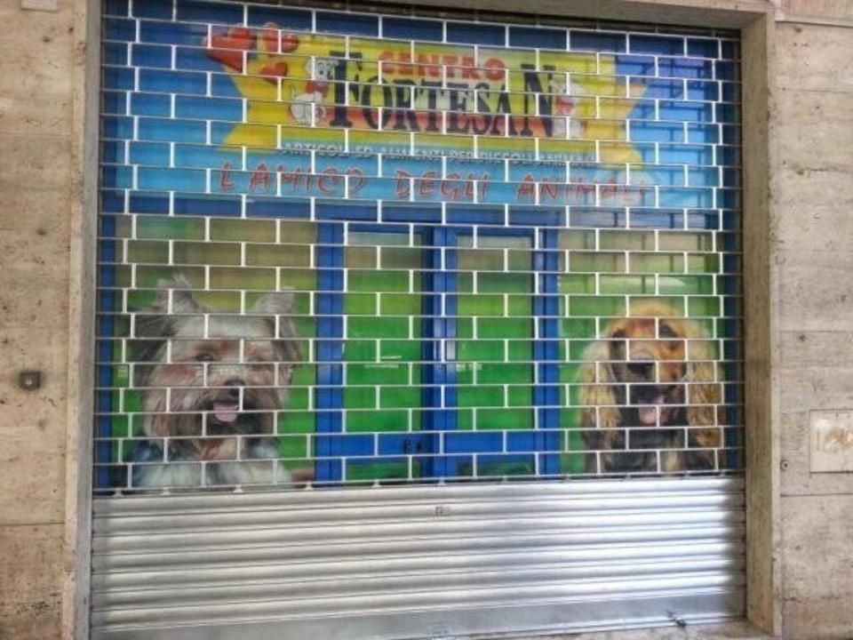 serranda per negozio