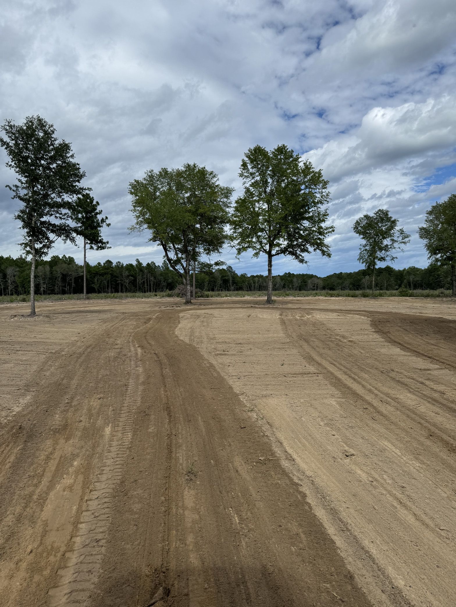 A dirt road going through a field with trees in the background.