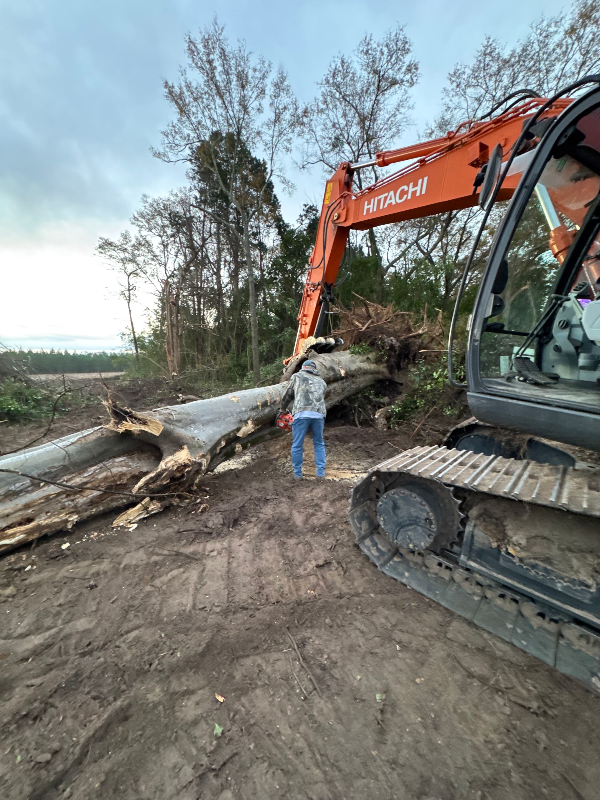 A man is standing next to a large piece of wood next to a large excavator.
