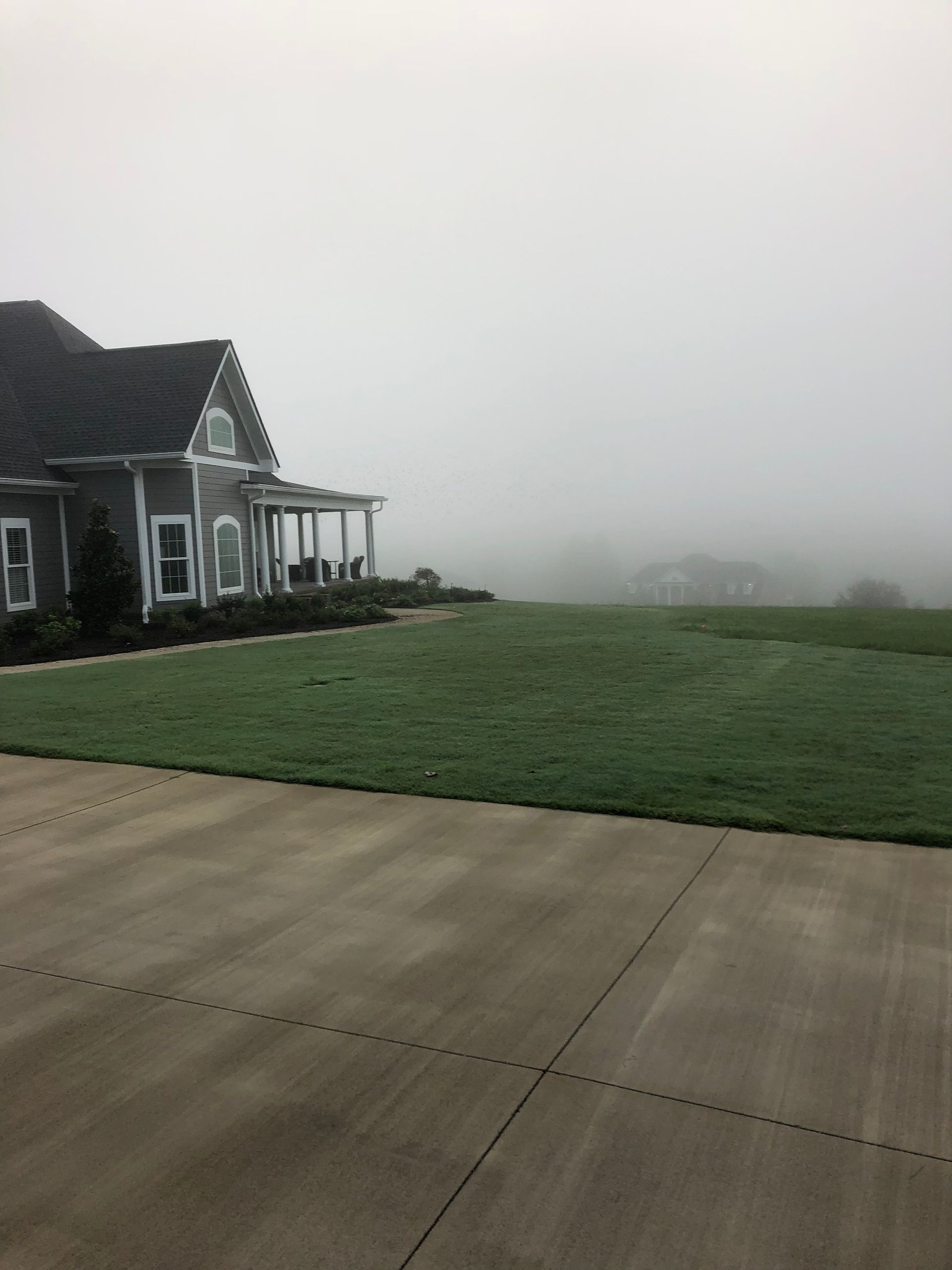 A foggy day with a house in the background