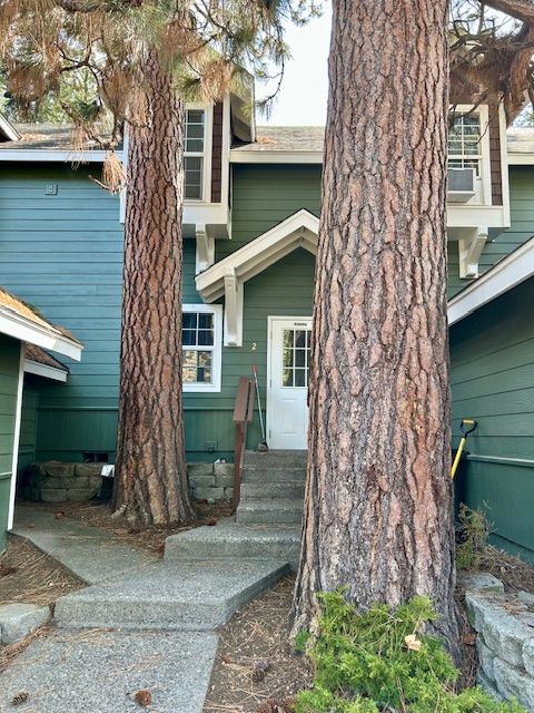 A green house with stairs and trees in front of it