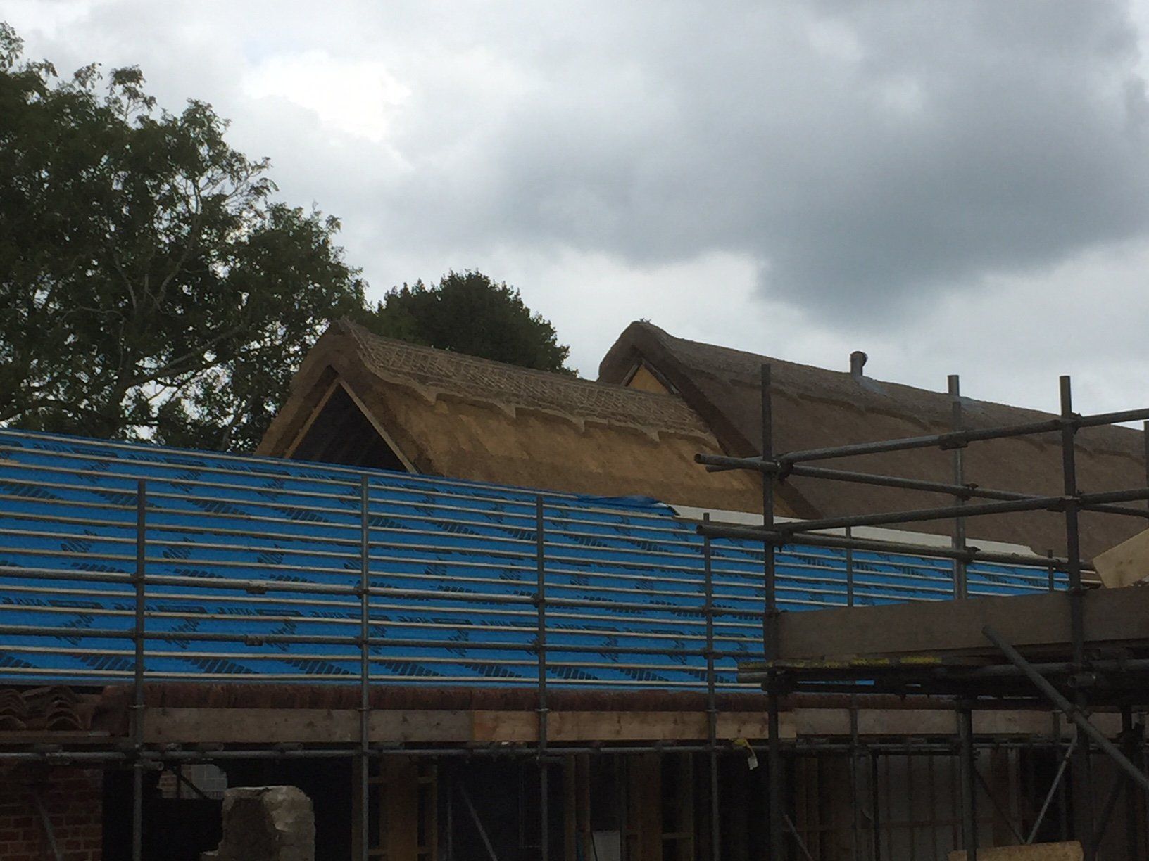 Dog Lane - Horsford side