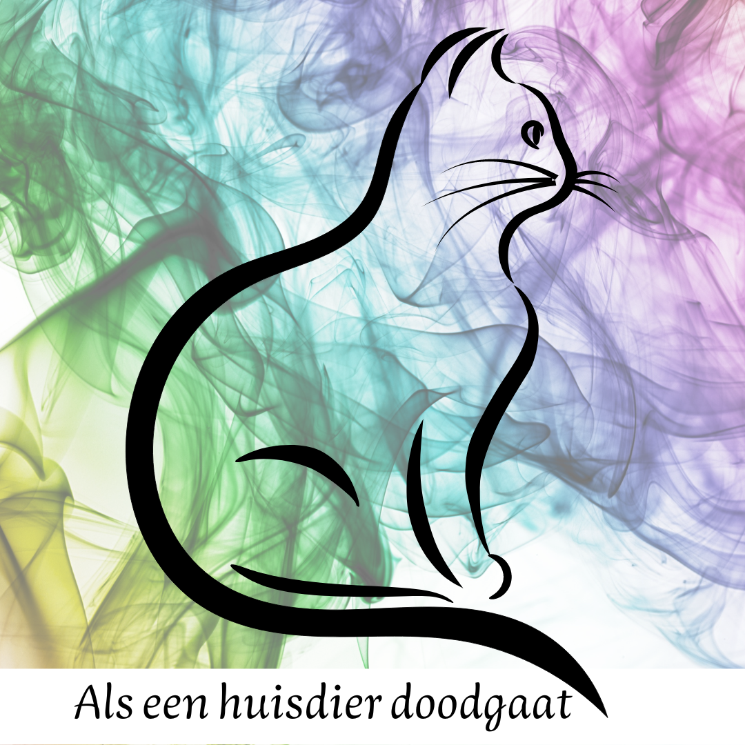 zwart lijn-silhouet zittende kat op regenboogkleurige achtergrond