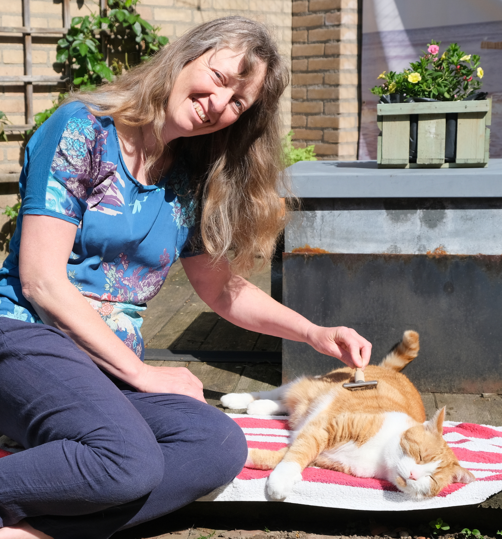 Ada van der Molen kamt kater Guus met slickerborsteltje in haar tuin