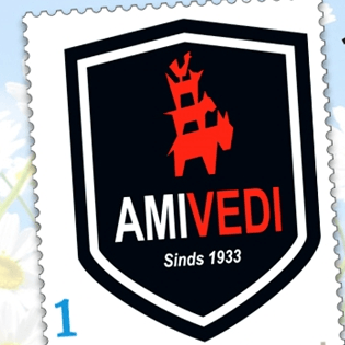 amivedi