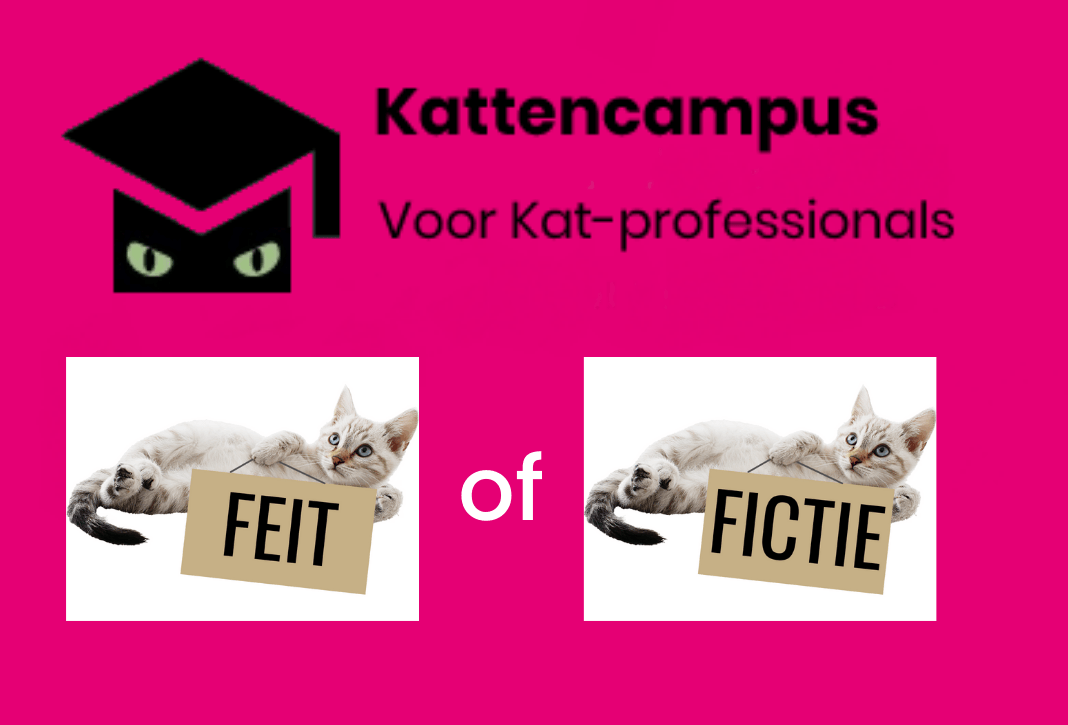 Logo kattencampus en 2 liggende katten. de ene met bordje feit de ander met bordje fictie