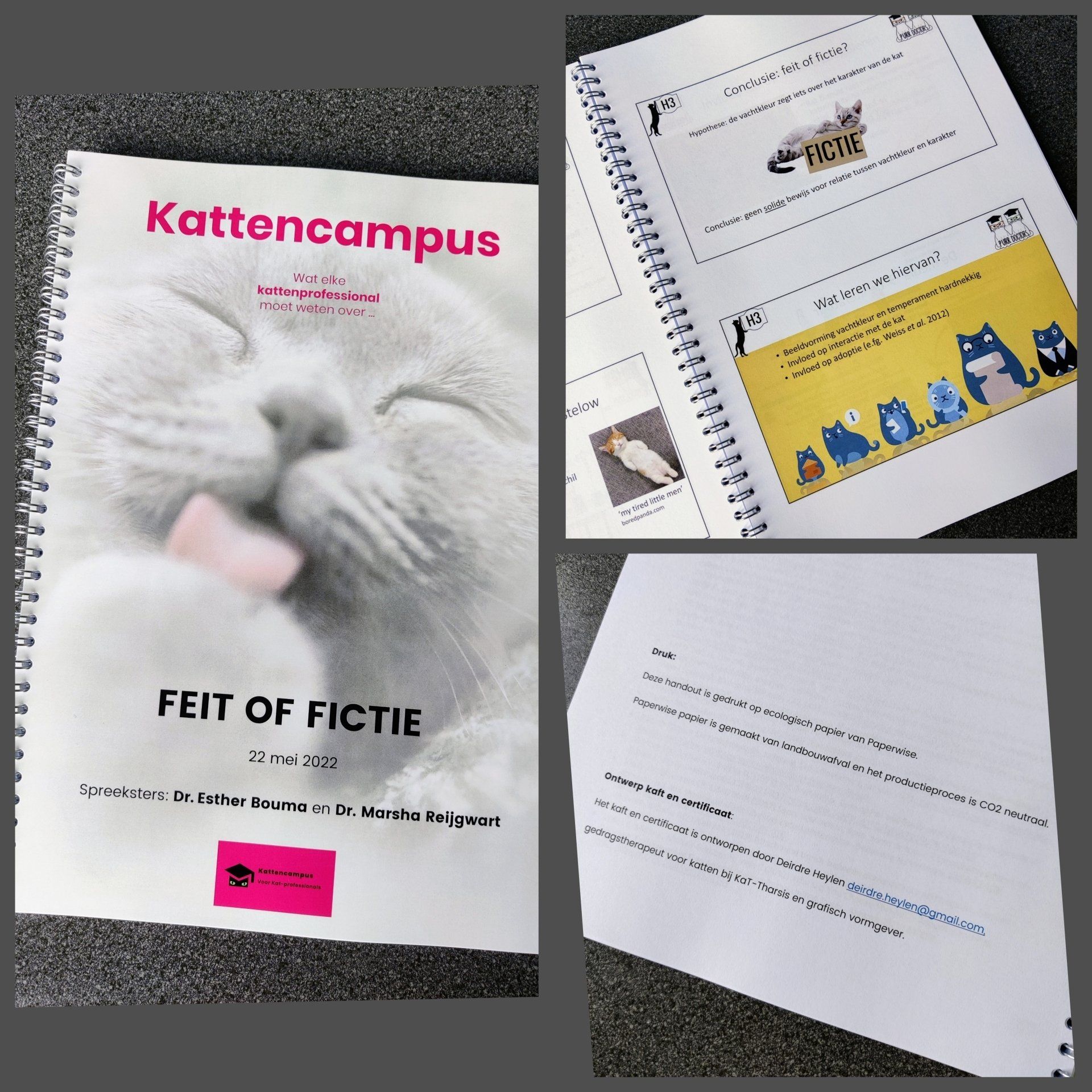 kaft en enkele blz hand-out kattencampus 2022