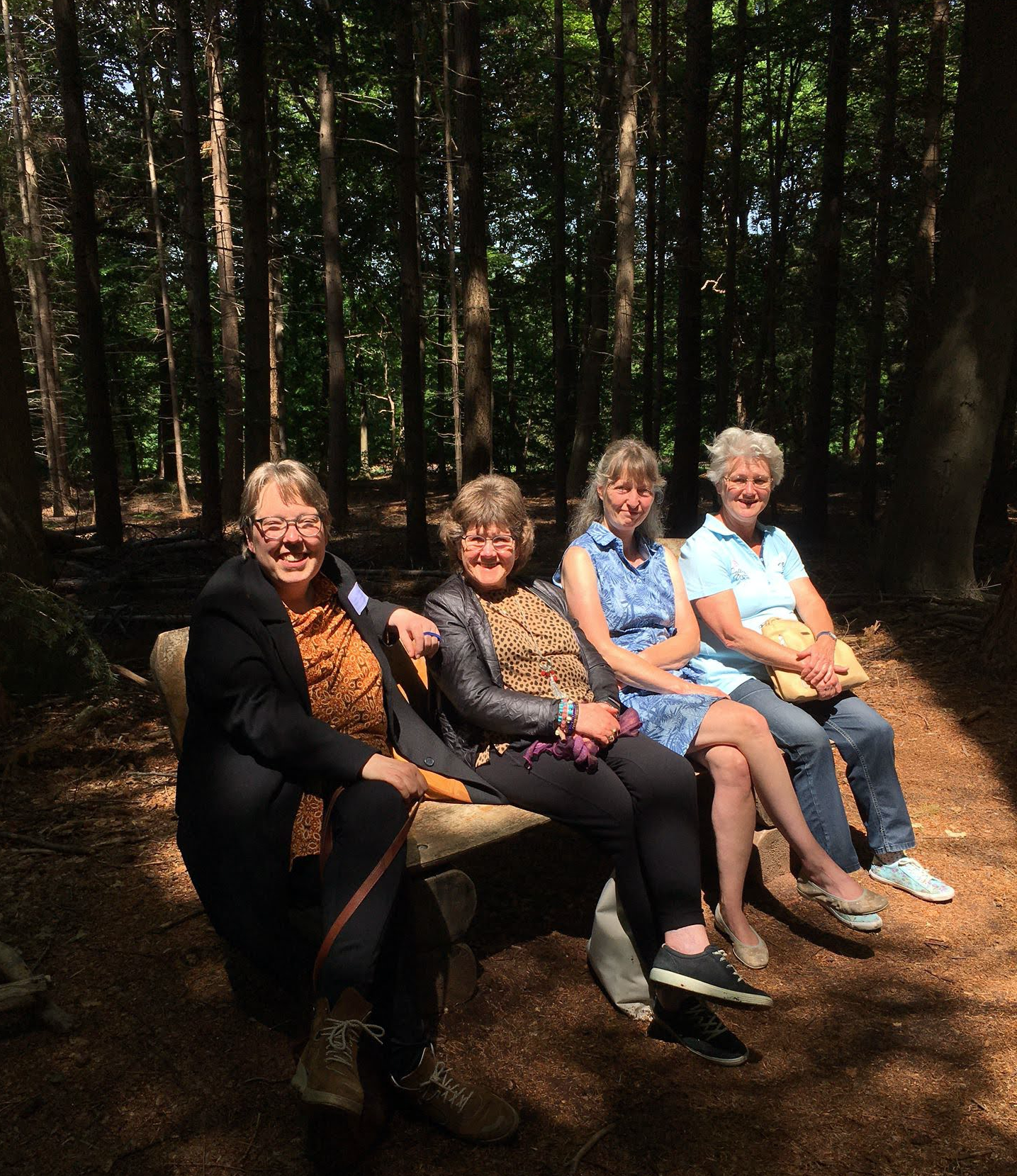 vier kat-professionals rusten uit in het zonnetje op een bankje in het bos-kastencampus 2022
