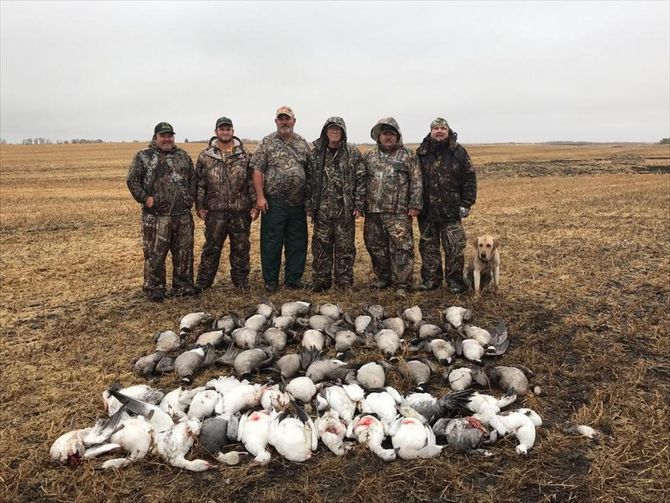 goose hunting in Canada
