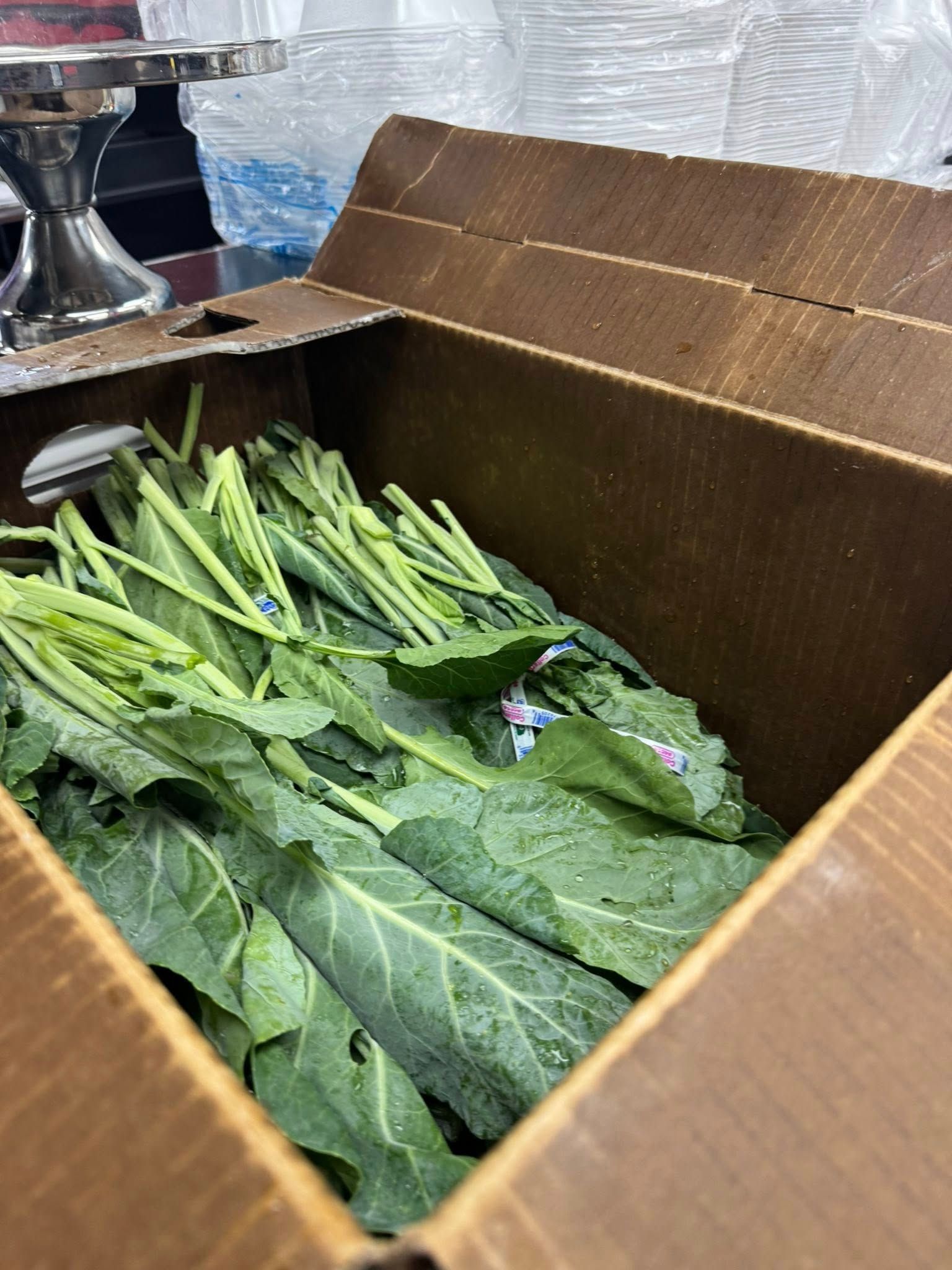 Box of fresh green collard greens.