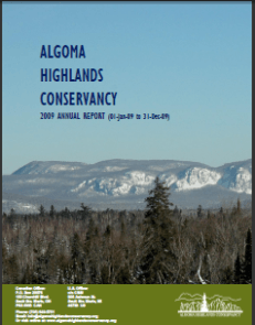 cover of the 2009 annual report