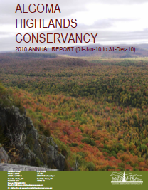 cover of the 2010 annual report
