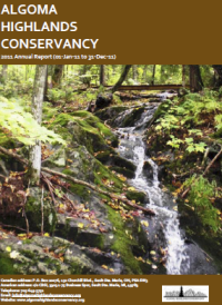 cover of the 2011 annual report