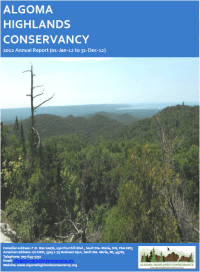 cover of the 2012 annual report