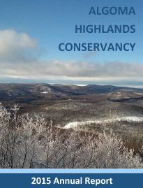 cover of the 2015 annual report