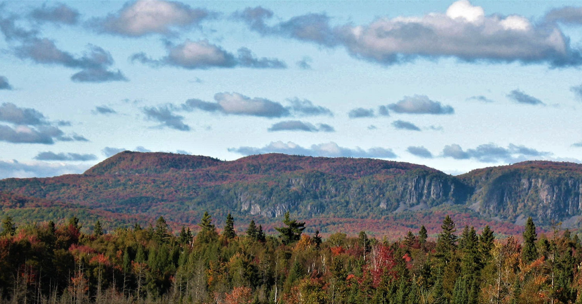 A forest of autumn colors in front of a distant mountain under a cloudy sky.