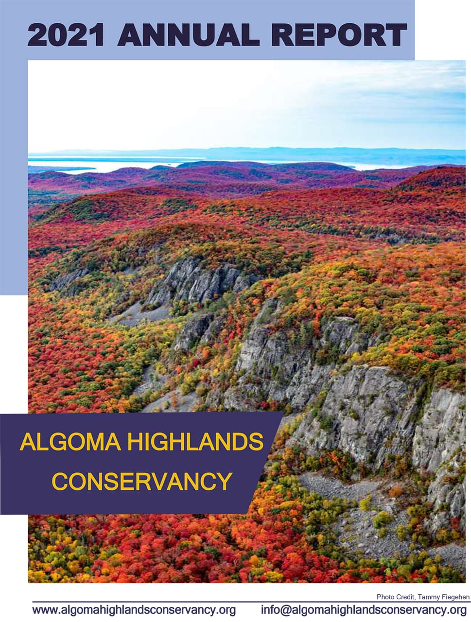 2021 AHC Annual Report cover