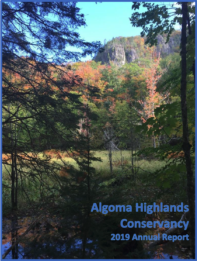 Algoma Highlands Conservancy 2019 Annual Report cover: Autumn forest with colorful leaves, mountains, and water.