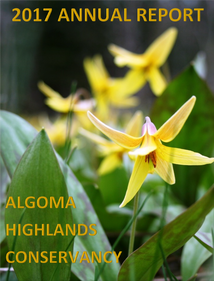 cover of the 2017 annual report