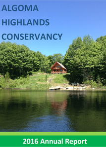 cover of the 2016 annual report