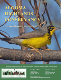 cover of the 2013 annual report