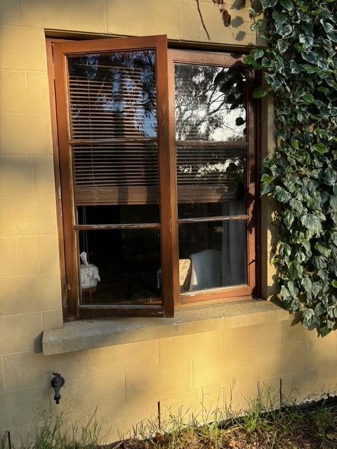 Window with brown frame, partially open. Blinds visible, exterior wall with ivy.