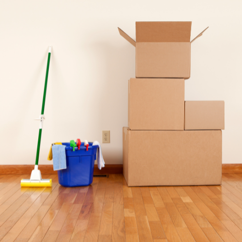 A mop sits next to a blue bucket of cleaning supplies