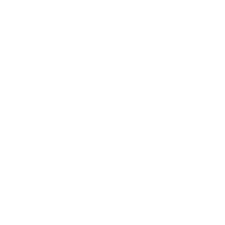 Lasso The Moon