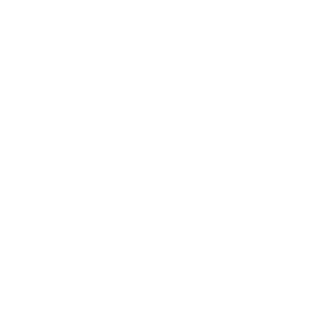 Ritz Carlton Destination Club