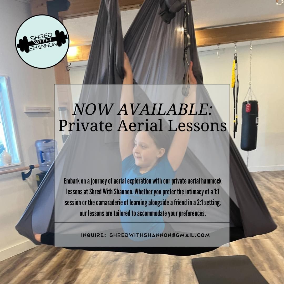 private aerial lessons 