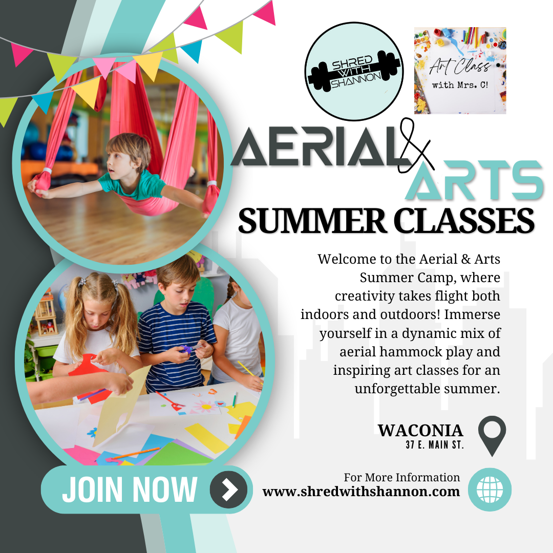 an advertisement for aerial arts summer classes in waconia